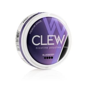 Blueberry Nicotine Pouches | 20mg